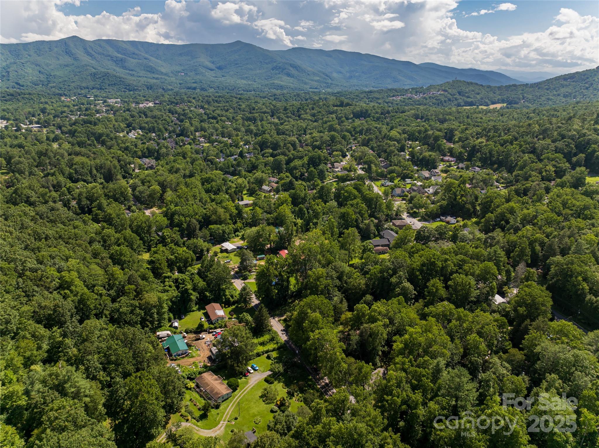 321 Flat Creek Road Black Mountain, NC 28711 - Photo 35 of 44 a view of a lush green forest with lush green forest