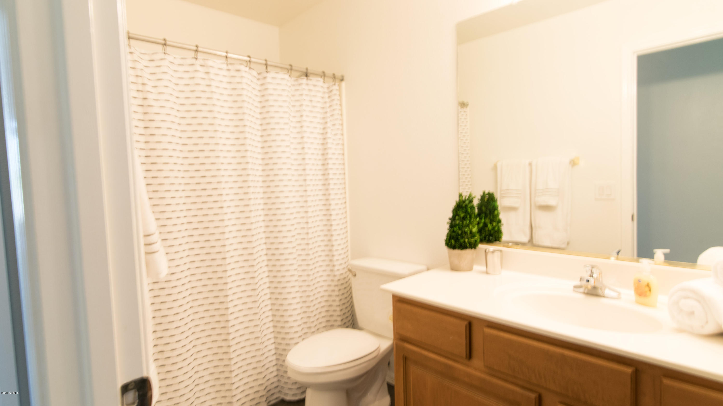 14521 West Boca Raton Road Surprise, AZ 85379 - Photo 9 of 23 bathroom (1)