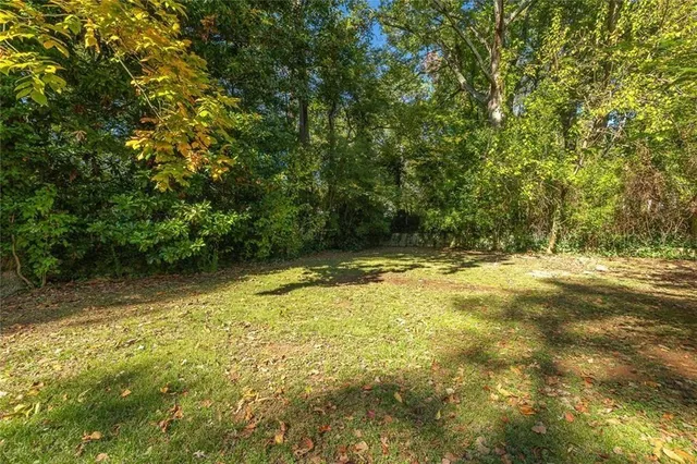 a view of a yard with a tree