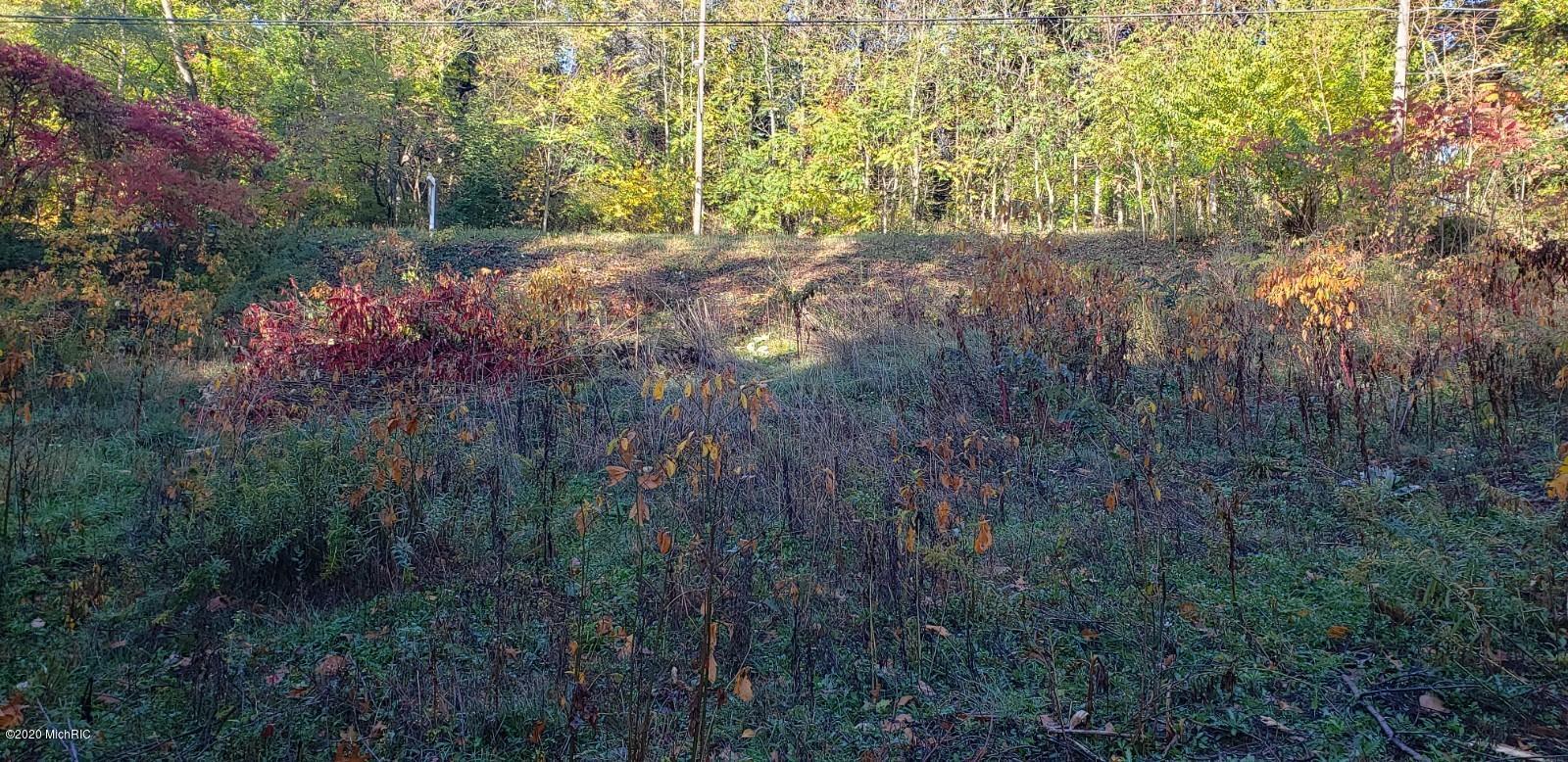 17950 North Fruitport Road Spring Lake, MI 49456 - Photo 2 of 4 20201019_101541