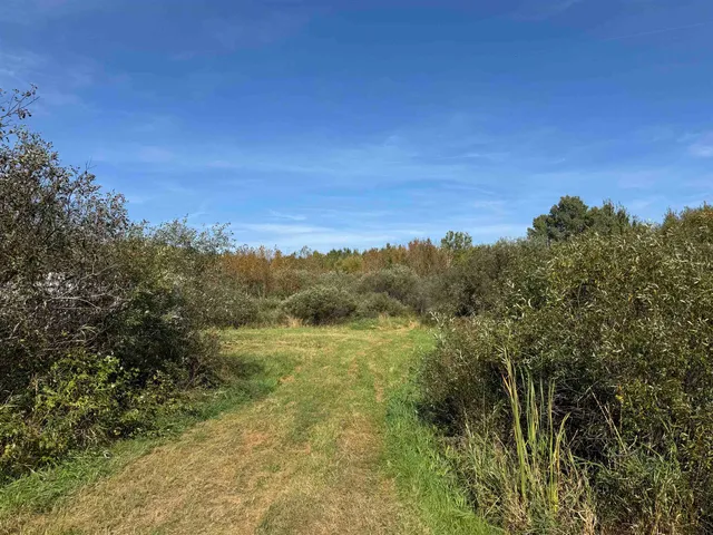 $79,900 | Xxxx 460th Lane, Palisade, MN 56469