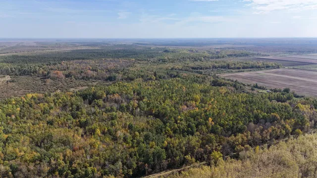 $79,900 | Xxxx 460th Lane, Palisade, MN 56469