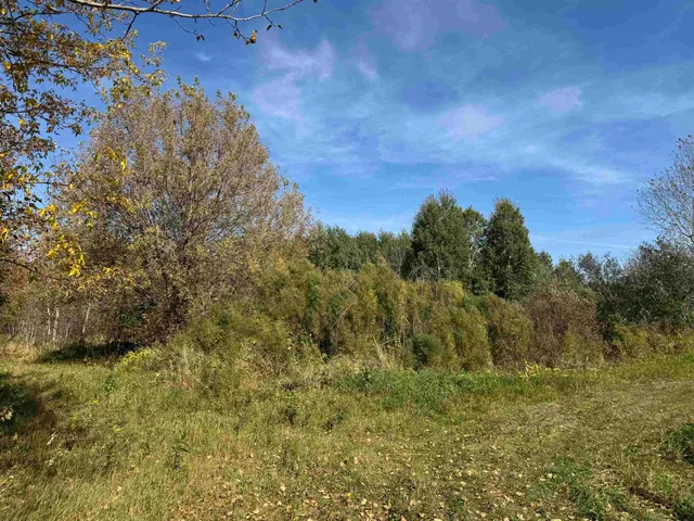 $79,900 | Xxxx 460th Lane, Palisade, MN 56469