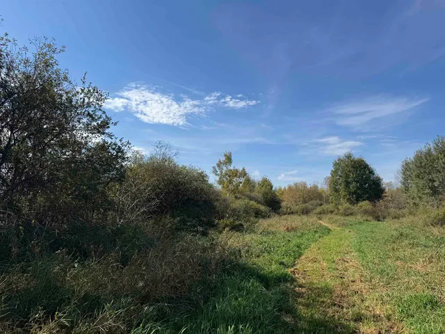 $79,900 | Xxxx 460th Lane, Palisade, MN 56469