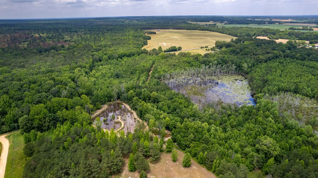 6675 Peach Orchard Road Dalzell, SC 29040 - Photo 12 of 24 Gallery Image 12