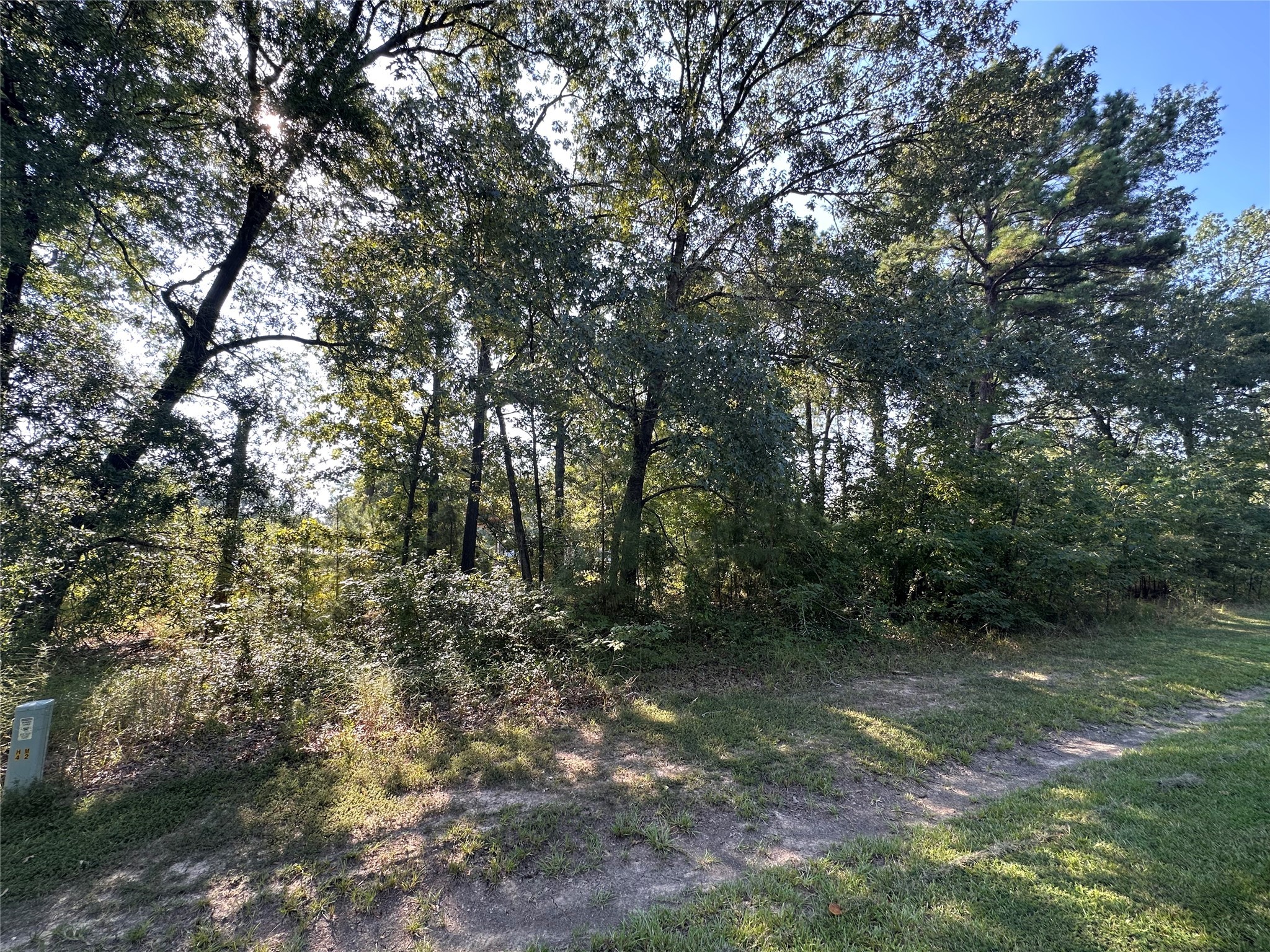 Tbd Monte Carlo Road Point Blank, TX 77364 - Photo 4 of 9 a view of outdoor space and trees