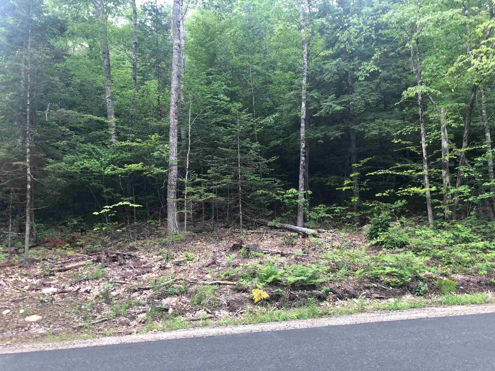 French Pond Road, Unit 165 Woodsville, NH 03785 - Photo 1 of 2