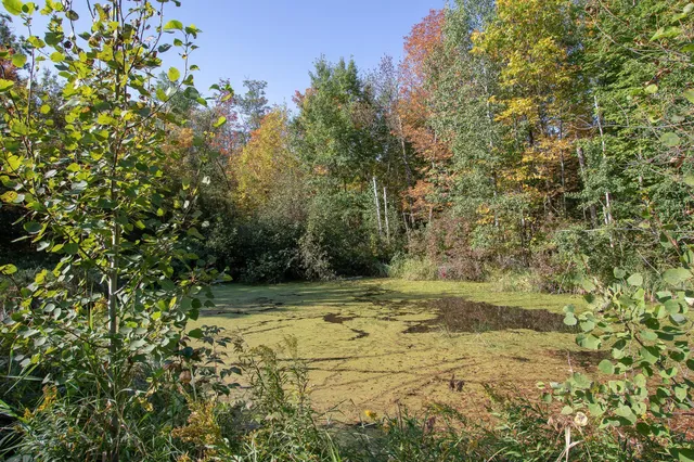 $80,000 | 28-xxx South Pine View Beach Road, Brook Park, MN 55007