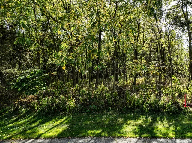 $100,000 | Lt4 Woodcrest Lane, Cambridge, WI 53523