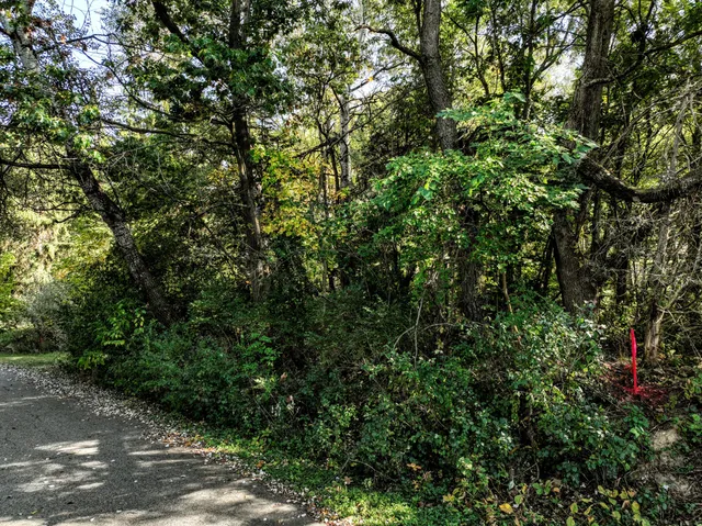 $100,000 | Lt4 Woodcrest Lane, Cambridge, WI 53523