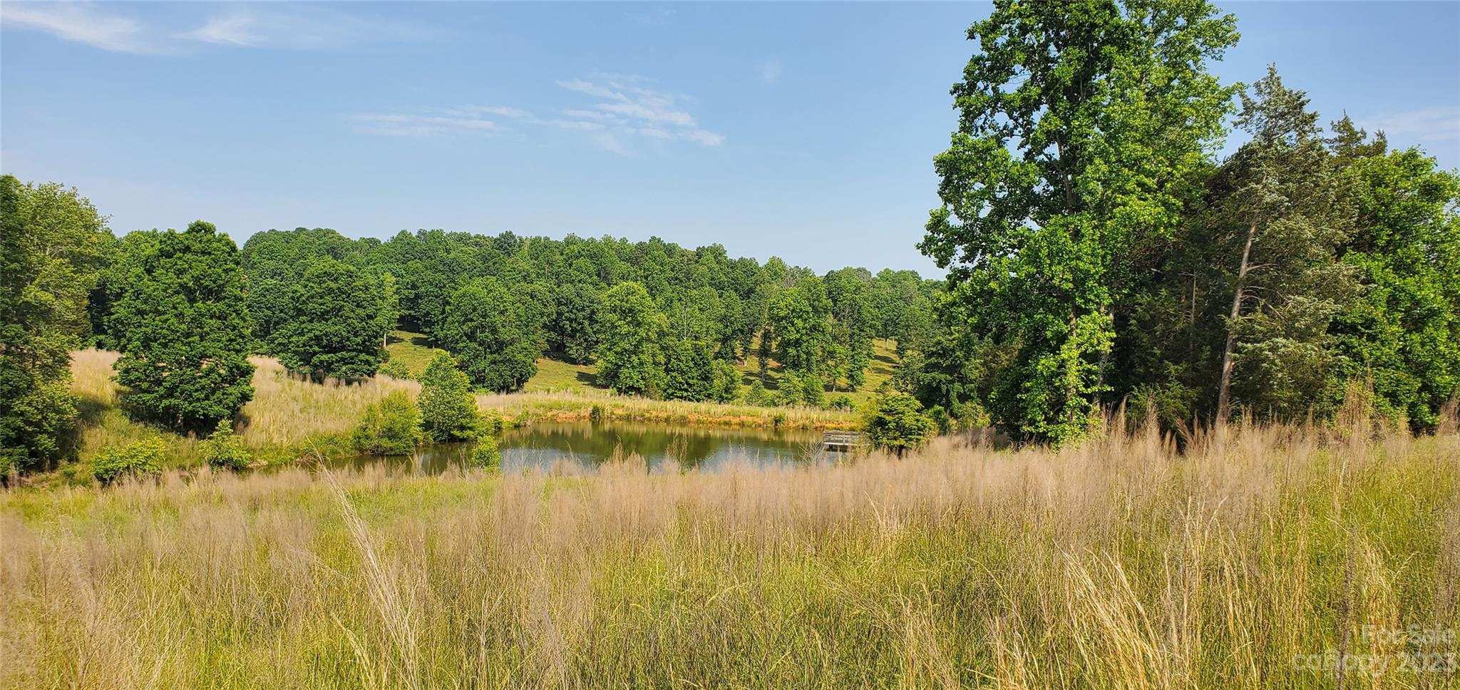 245 Chief Thomas Road Harmony, NC 28634 - Photo 2 of 11 Gallery Image 2