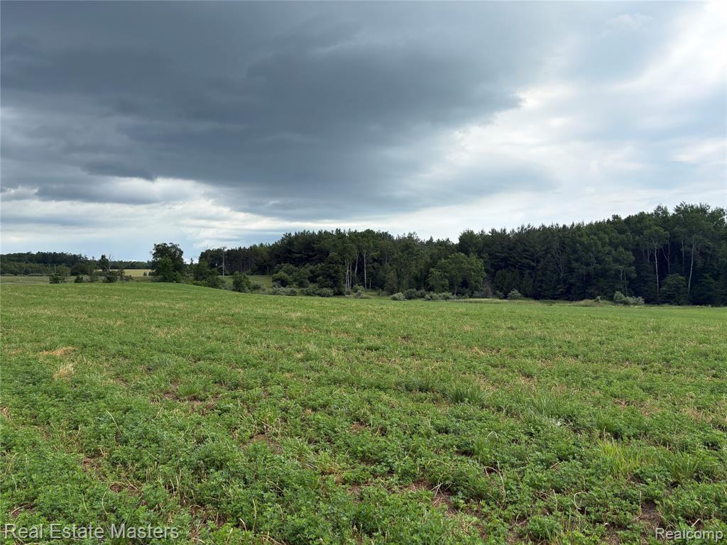 300 East Hubert Road Hubbard Lake, MI 49747 - Photo 12 of 17