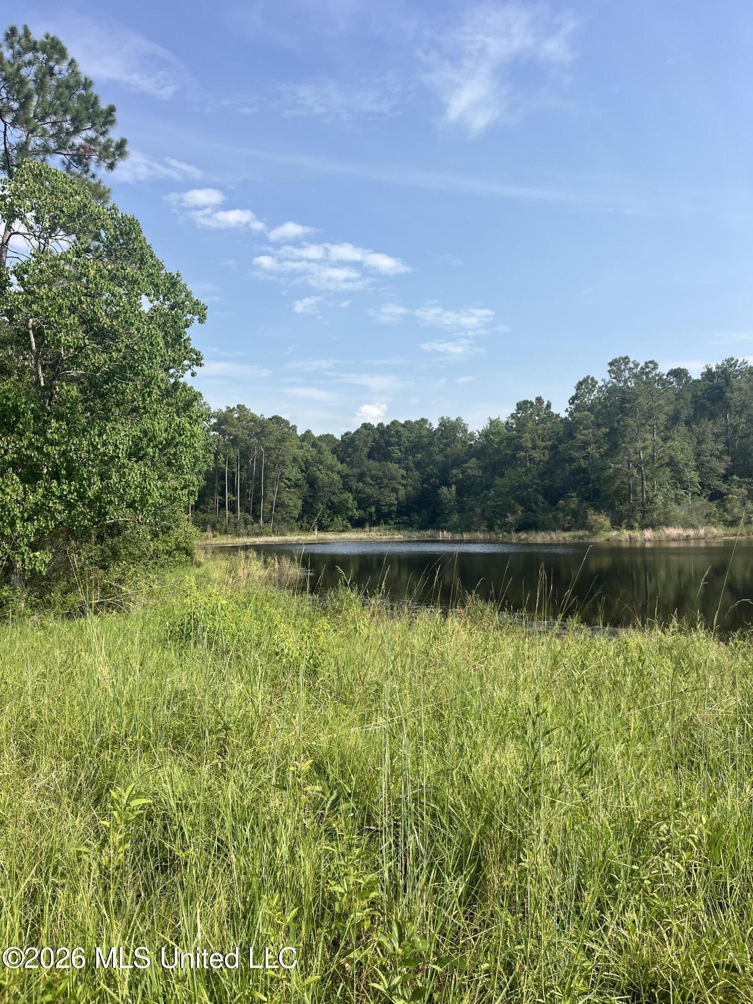 0 Crane Creek Road Perkinston, MS 39573 - Photo 14 of 17 IMG_4996