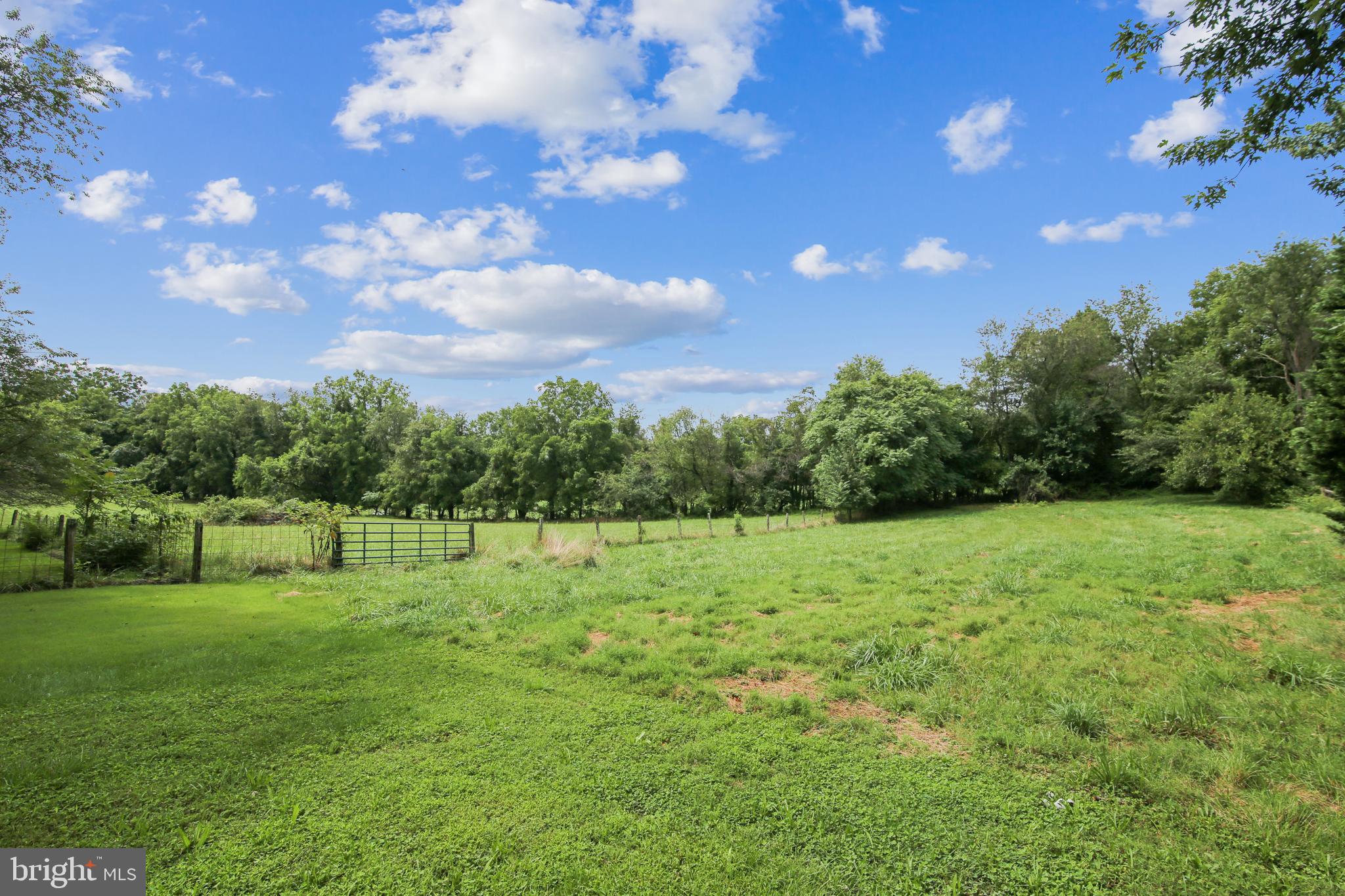 13030 Prices Distillery Road Clarksburg, MD 20871 - Photo 62 of 90 Beautiful 10 acres lot