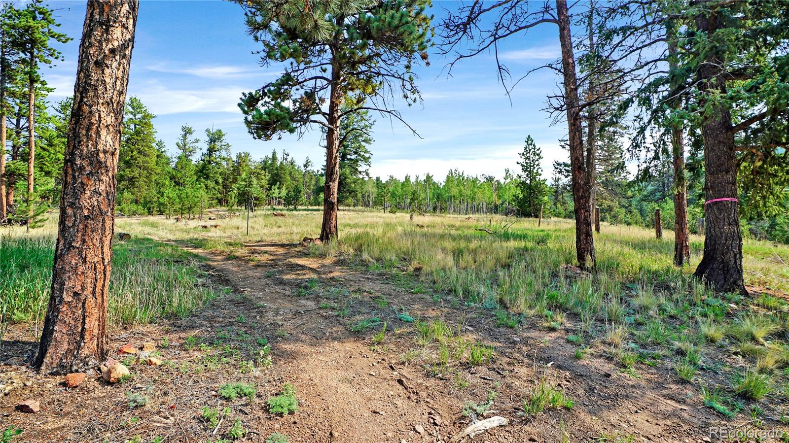 120 Rd P78 Bailey, CO 80421 - Photo 11 of 17 Gallery Image 11