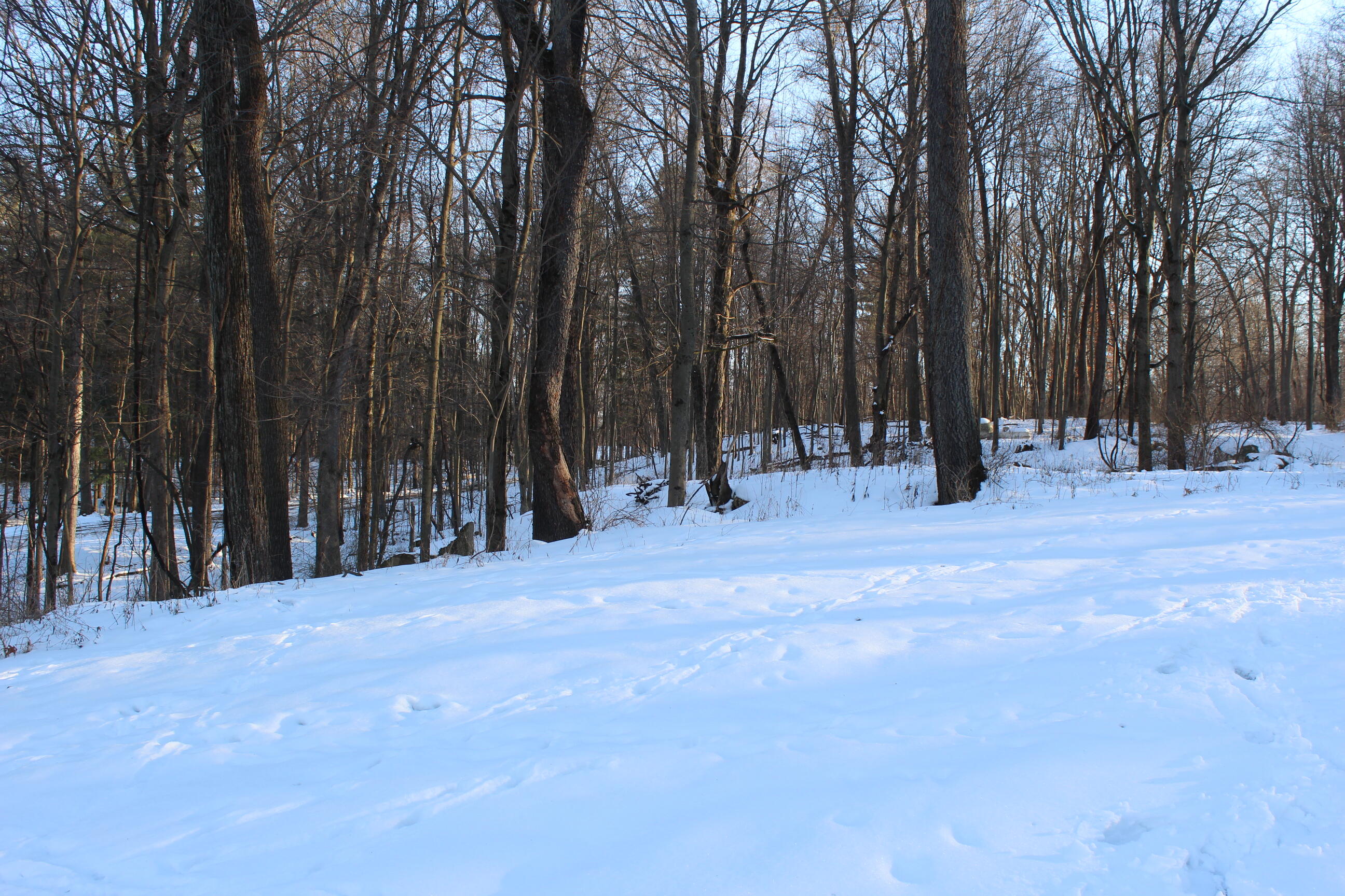 66741 Conrad Road Edwardsburg, MI 49112 - Photo 4 of 5 IMG_3708