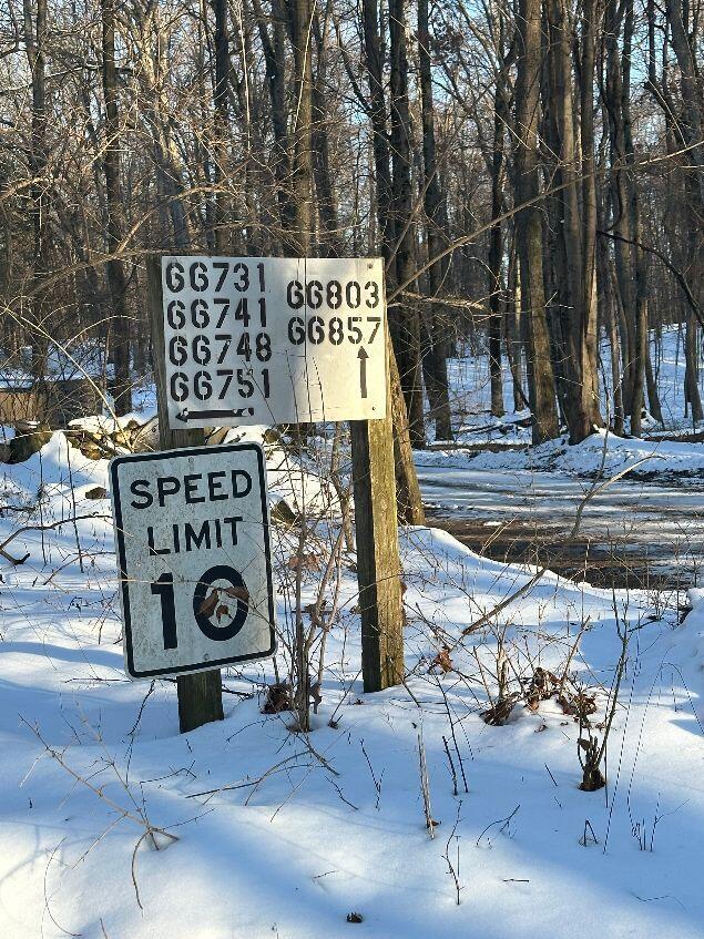 66741 Conrad Road Edwardsburg, MI 49112 - Photo 5 of 5 IMG_2800