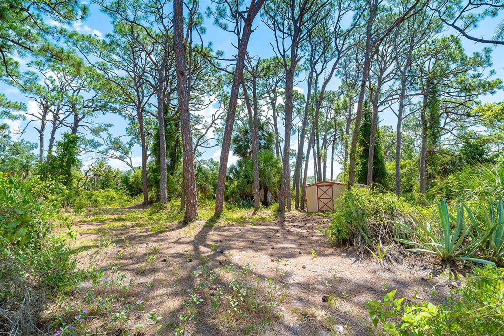 5833 South Miami Road Venice, FL 34293 - Photo 52 of 70