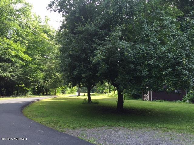 2369 Slacks Run Road Trout Run, PA 17771 - Photo 8 of 18 yard