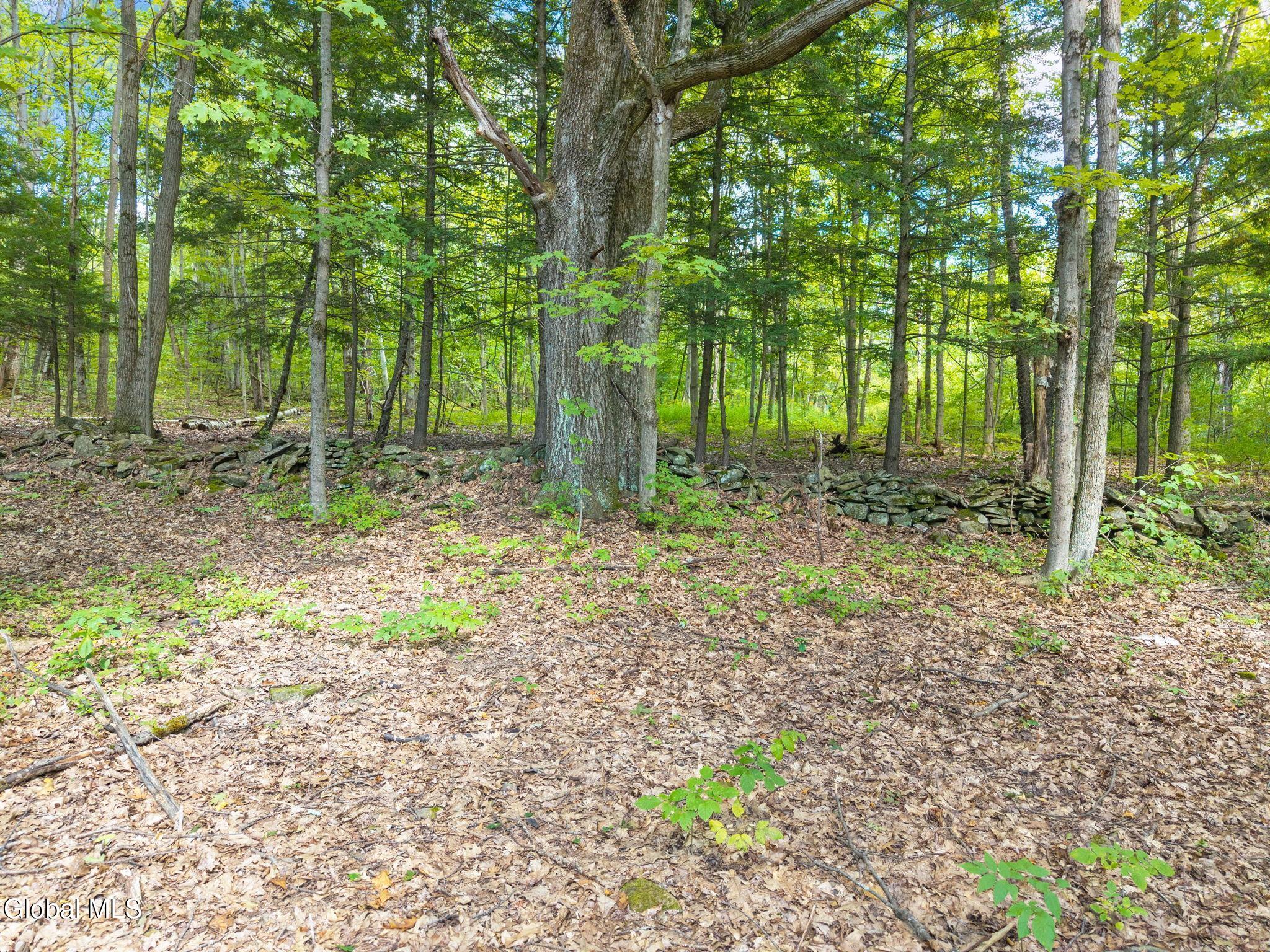 1485 Knight Road Delanson, NY 12053 - Photo 42 of 51 43