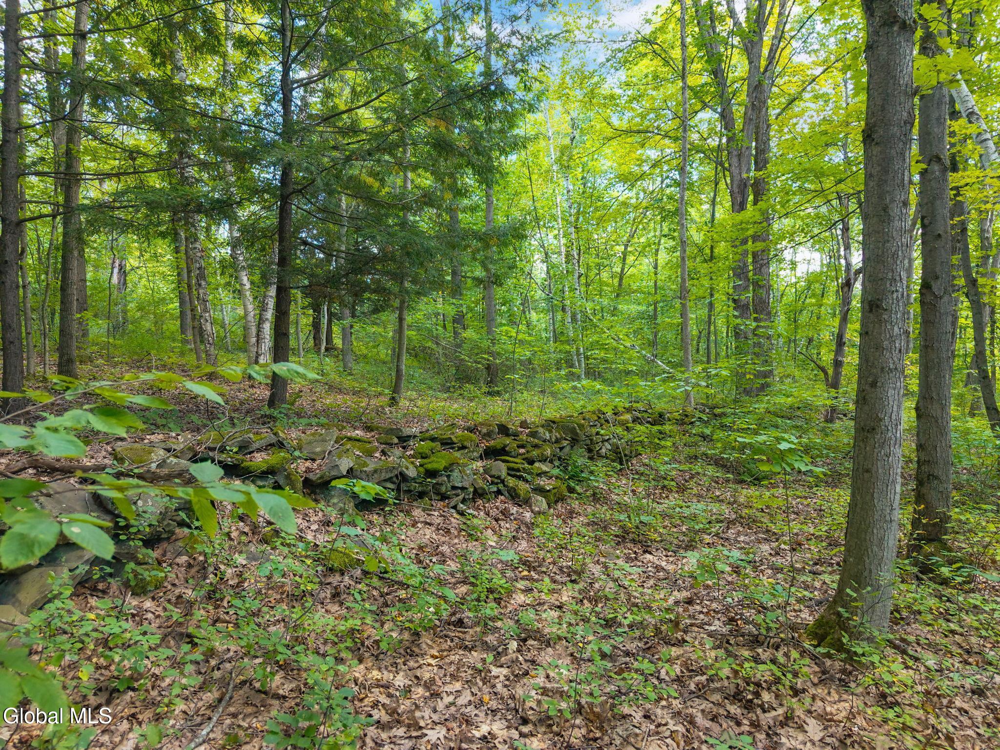 1485 Knight Road Delanson, NY 12053 - Photo 43 of 51 44