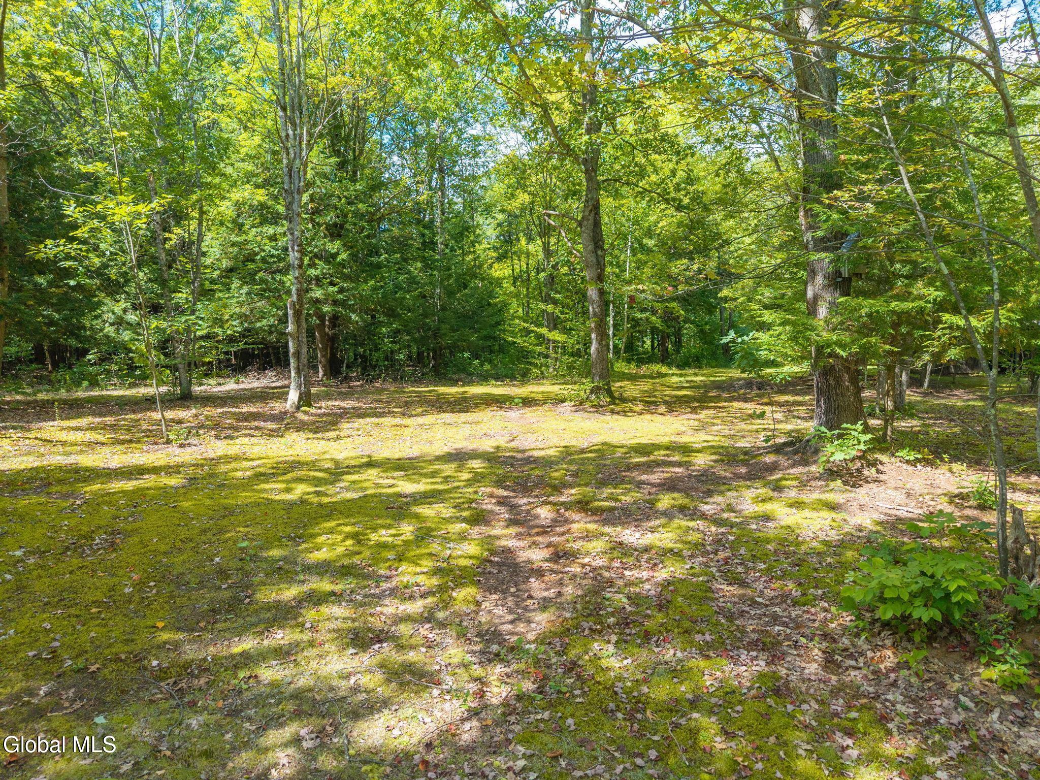 1485 Knight Road Delanson, NY 12053 - Photo 44 of 51 45