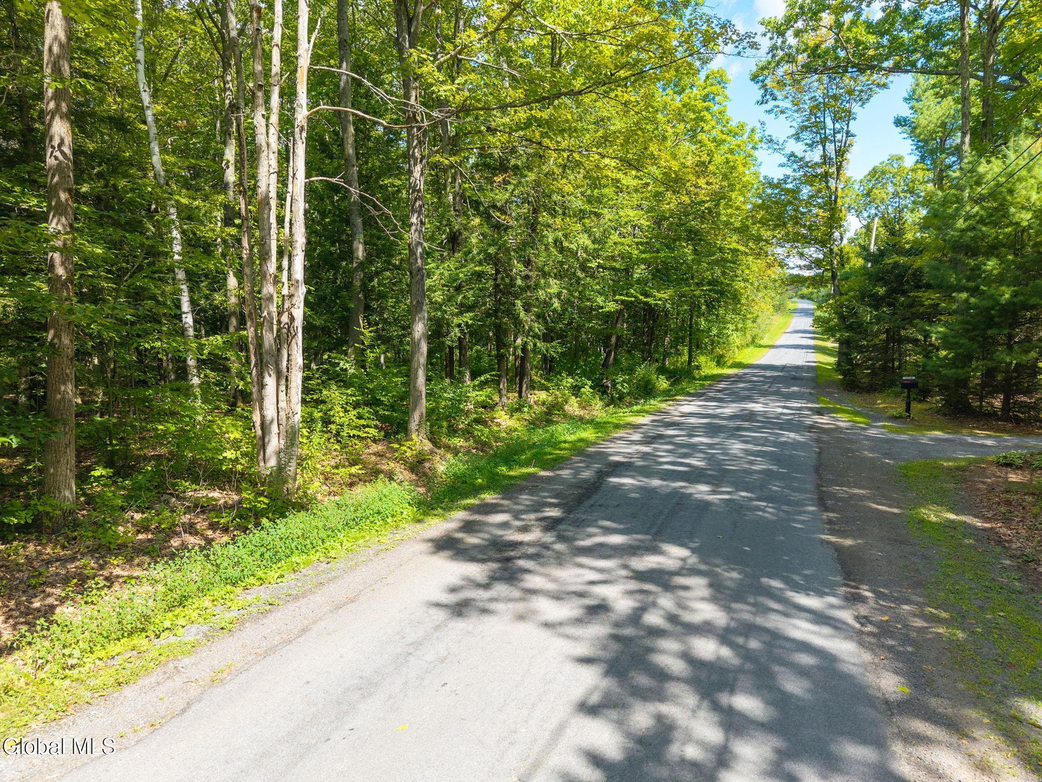1485 Knight Road Delanson, NY 12053 - Photo 45 of 51 46