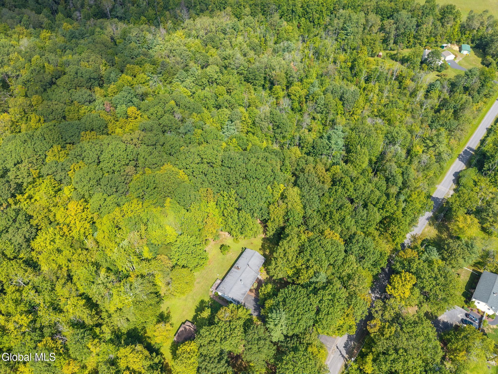 1485 Knight Road Delanson, NY 12053 - Photo 46 of 51 47