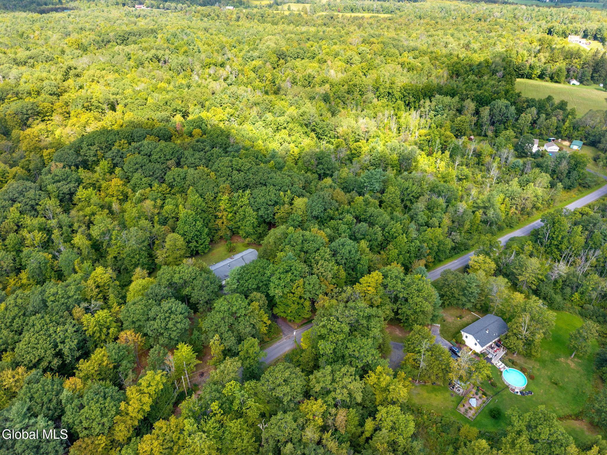 1485 Knight Road Delanson, NY 12053 - Photo 47 of 51 48