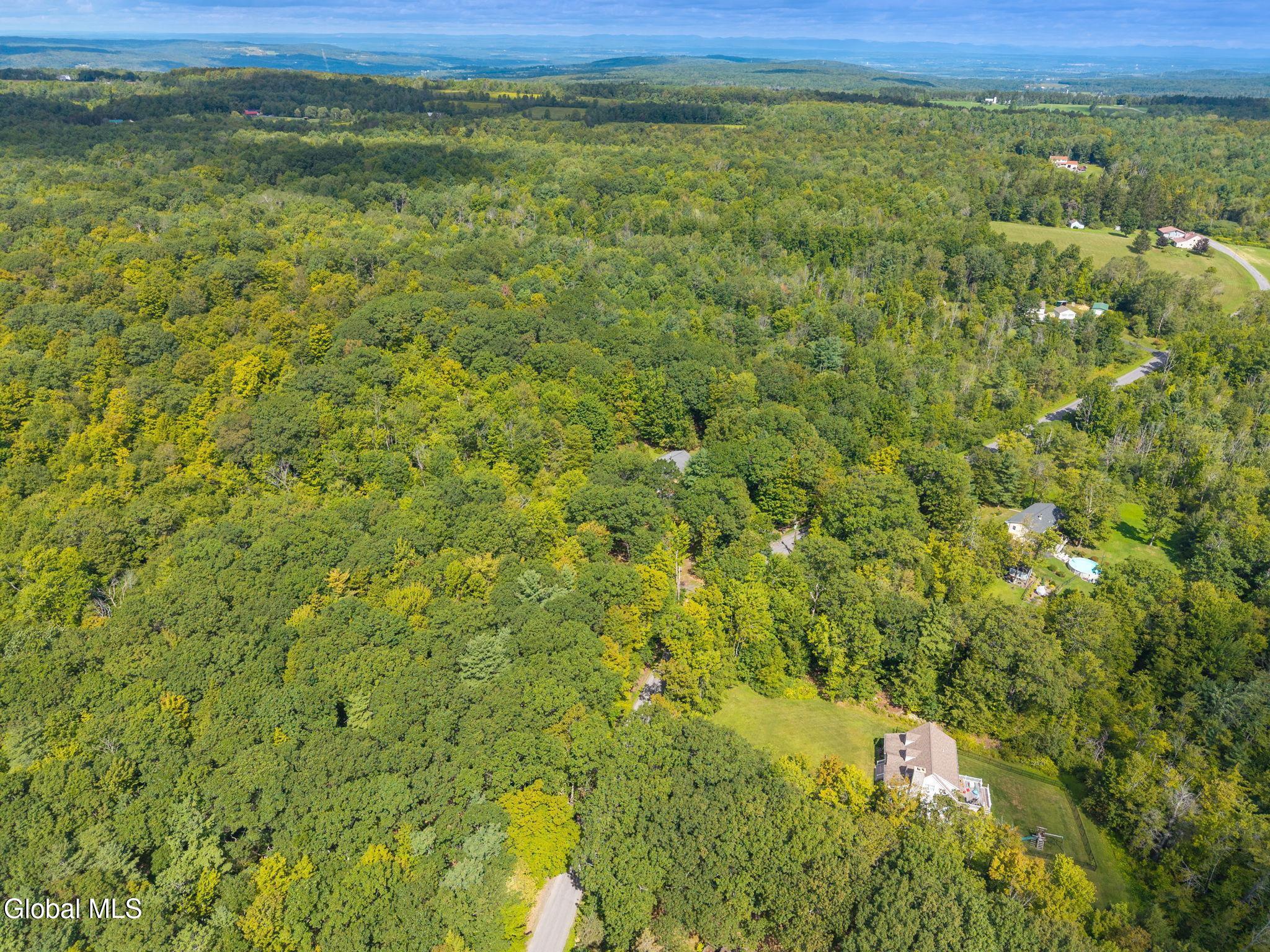 1485 Knight Road Delanson, NY 12053 - Photo 48 of 51 49