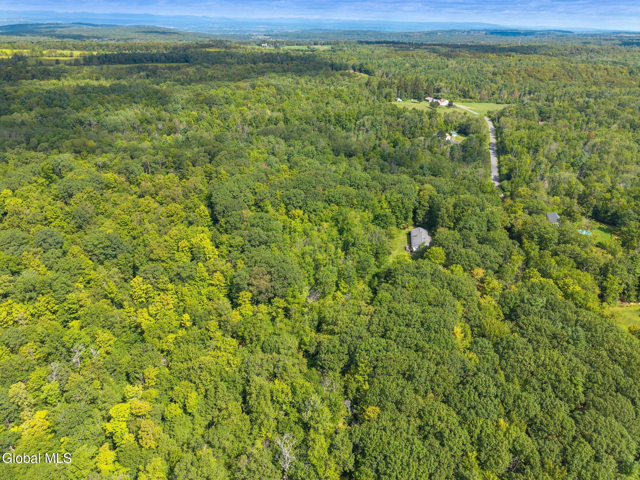 1485 Knight Road Delanson, NY 12053 - Photo 49 of 51 50