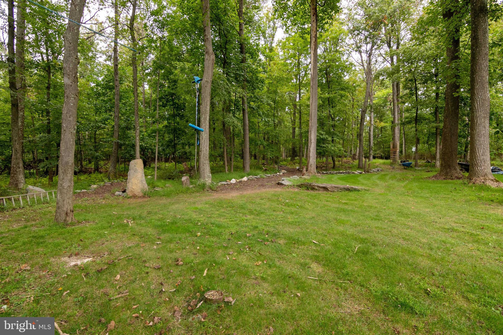 11504 Gambrill Park Road Frederick, MD 21702 - Photo 51 of 67 Zipline