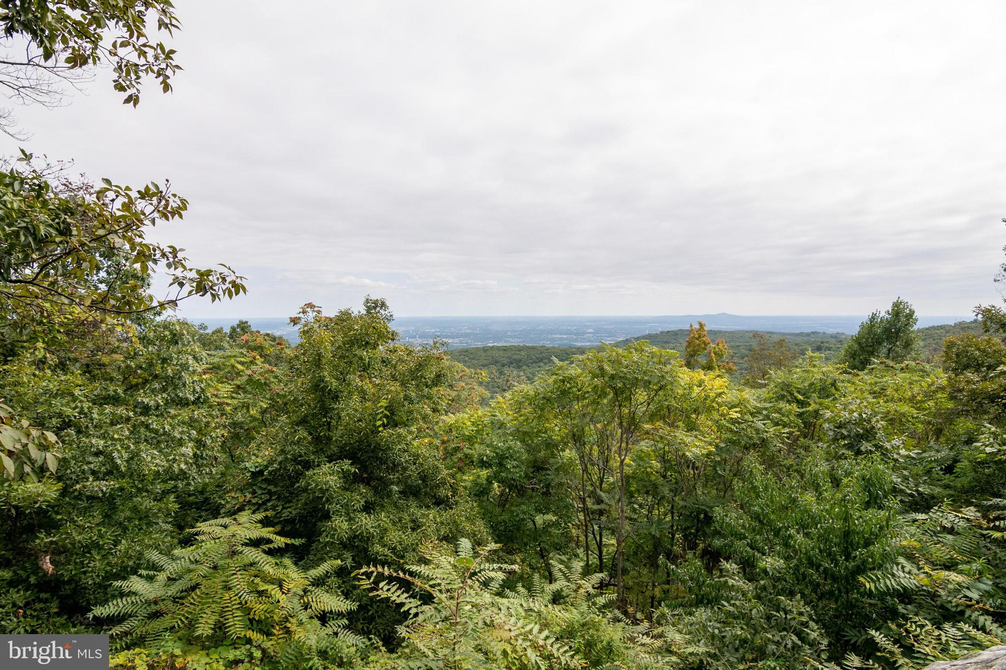 11504 Gambrill Park Road Frederick, MD 21702 - Photo 63 of 67 Frederick Overlook