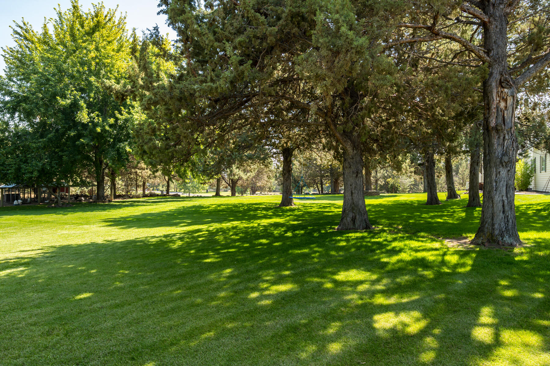 21936 Bear Creek Road Bend, OR 97701 - Photo 55 of 75 JH5_1077