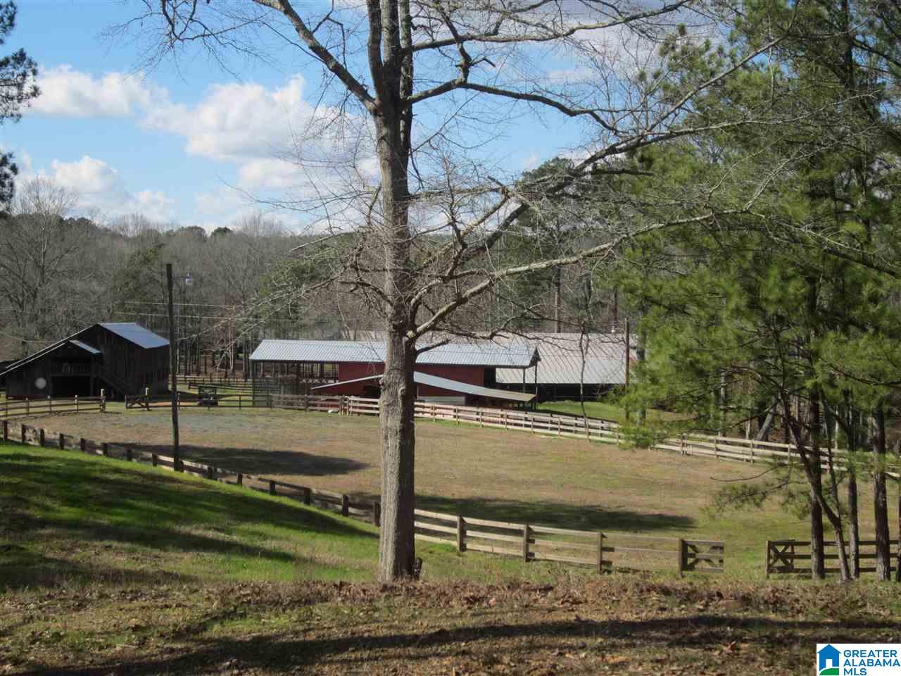 8460 Wolf Creek Road South Pell City, AL 35128 - Photo 17 of 49