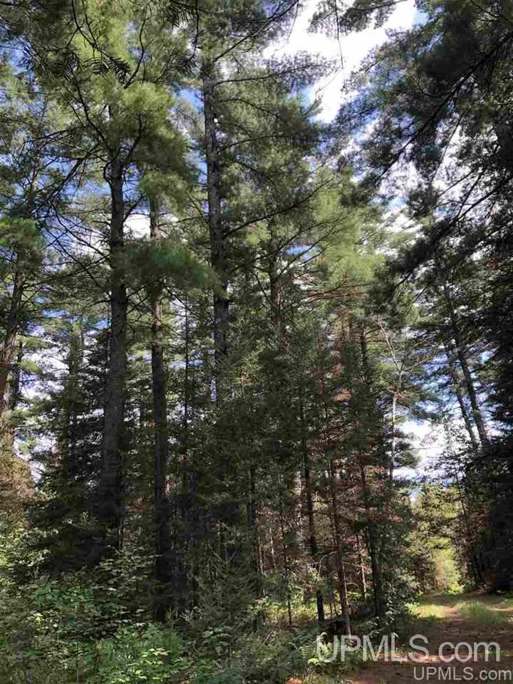 Tbd West Tower Road Ishpeming, MI 49849 - Photo 18 of 44