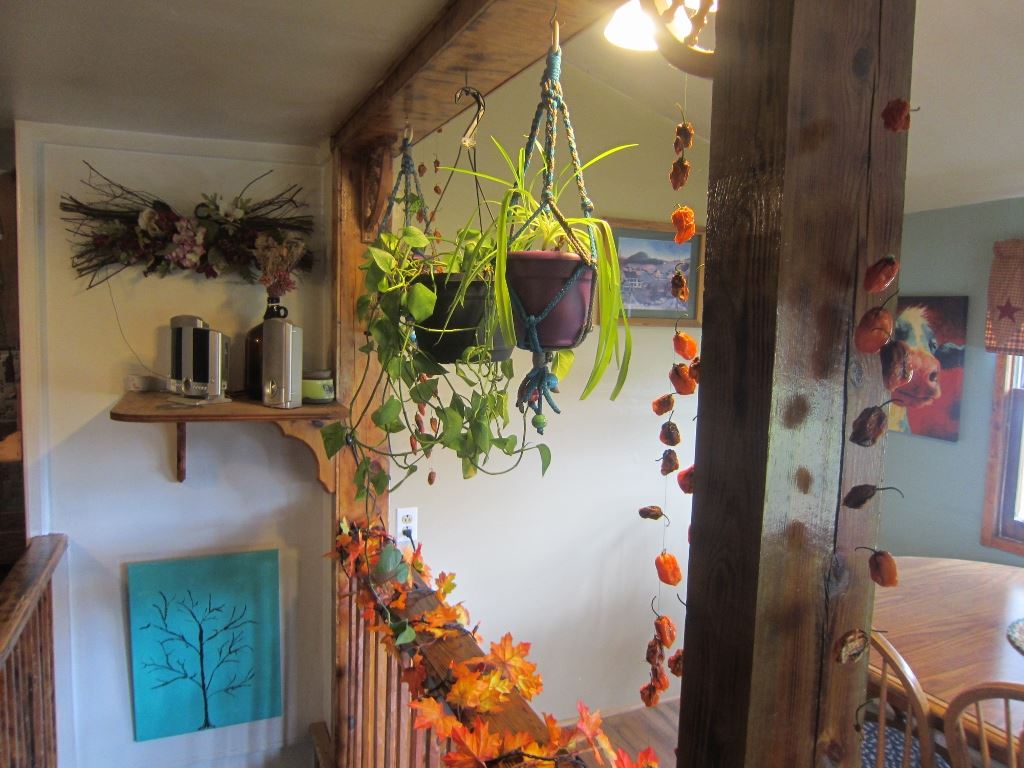 144 William Cousins Road Staunton, VA 24401 - Photo 22 of 38 Gallery Image 22