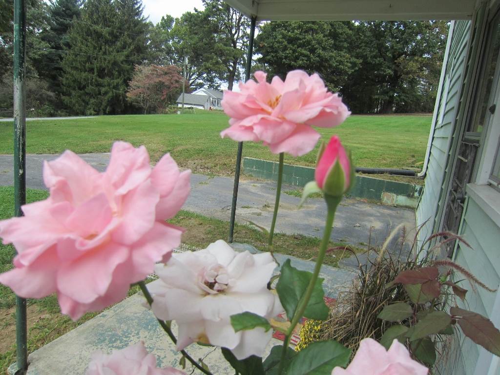 144 William Cousins Road Staunton, VA 24401 - Photo 8 of 38 Gallery Image 8