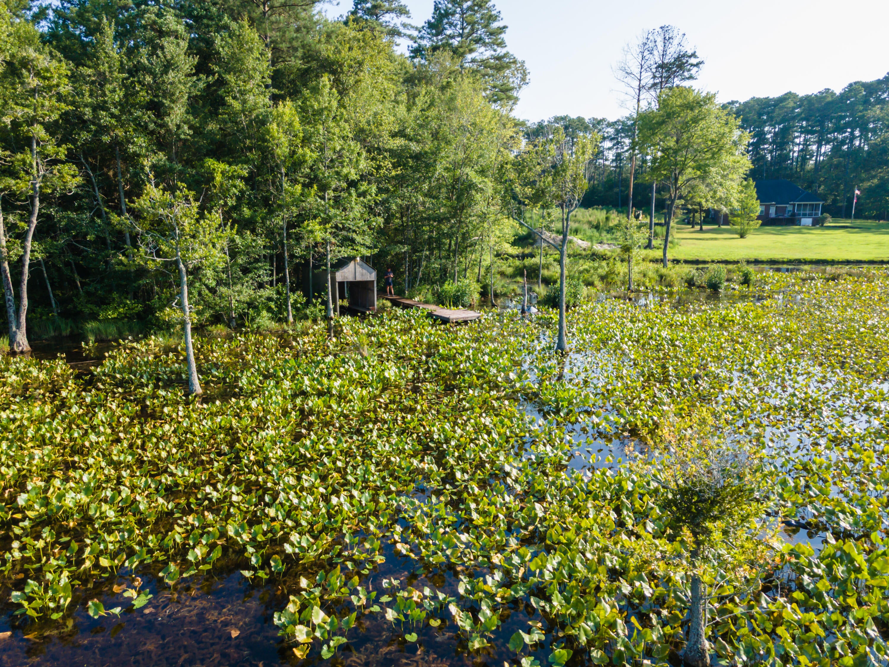 Tbd Edisto Lake Road, Unit 39 Wagener, SC 29164 - Photo 9 of 39 Gallery Image 9