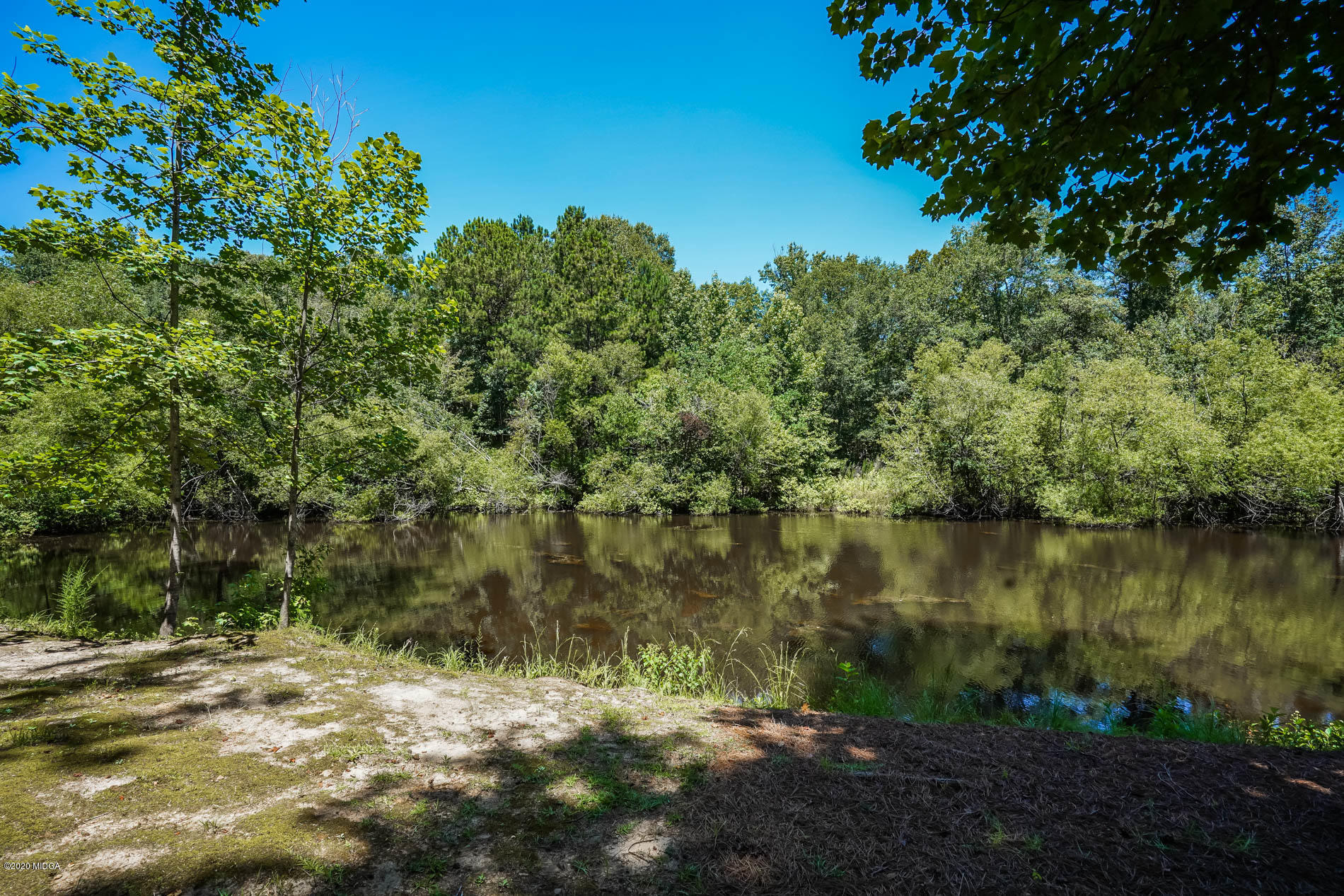 7968 Whittle Road Macon, GA 31220 - Photo 19 of 56 18-DSC01698