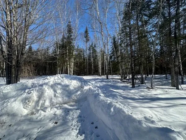 $125,000 | 18382 County Road 590, Pengilly, MN 55775