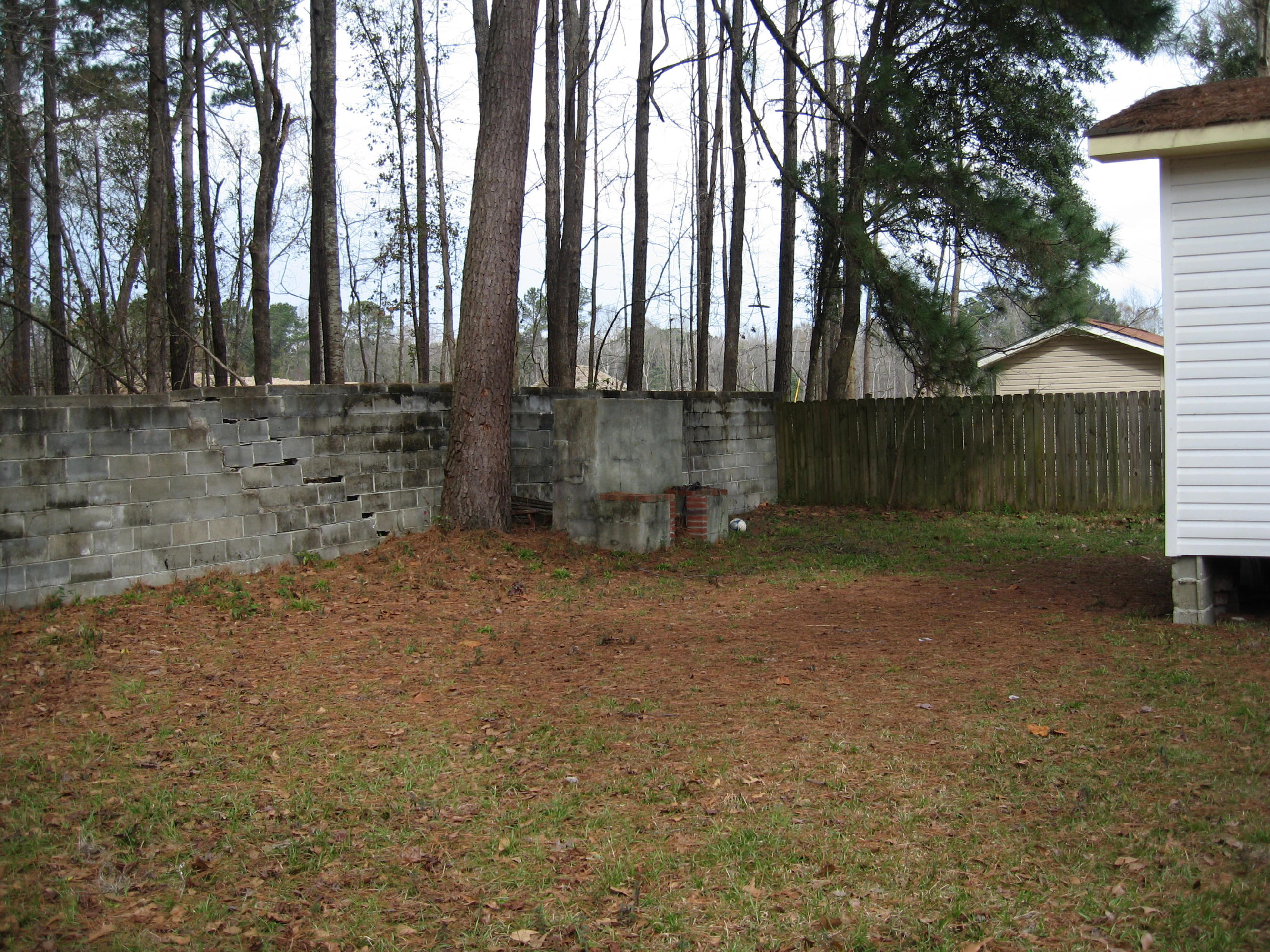 801 Hoss Road Charleston, SC 29414 - Photo 19 of 20 19 back yard