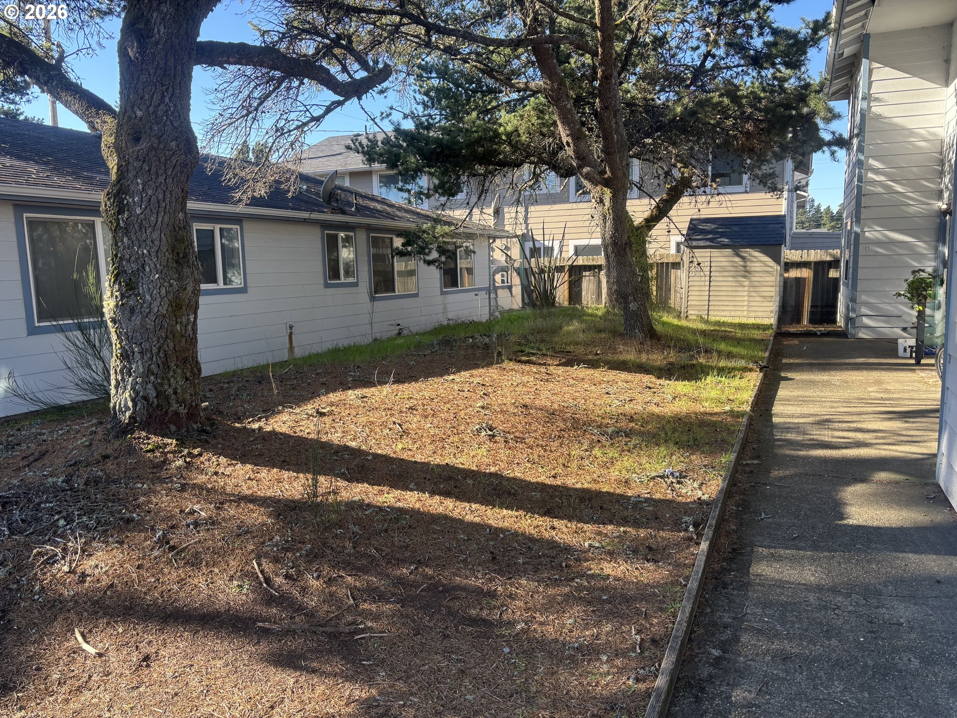 1675 22nd Street Florence, OR 97439 - Photo 3 of 7 a view of a yard with a tree