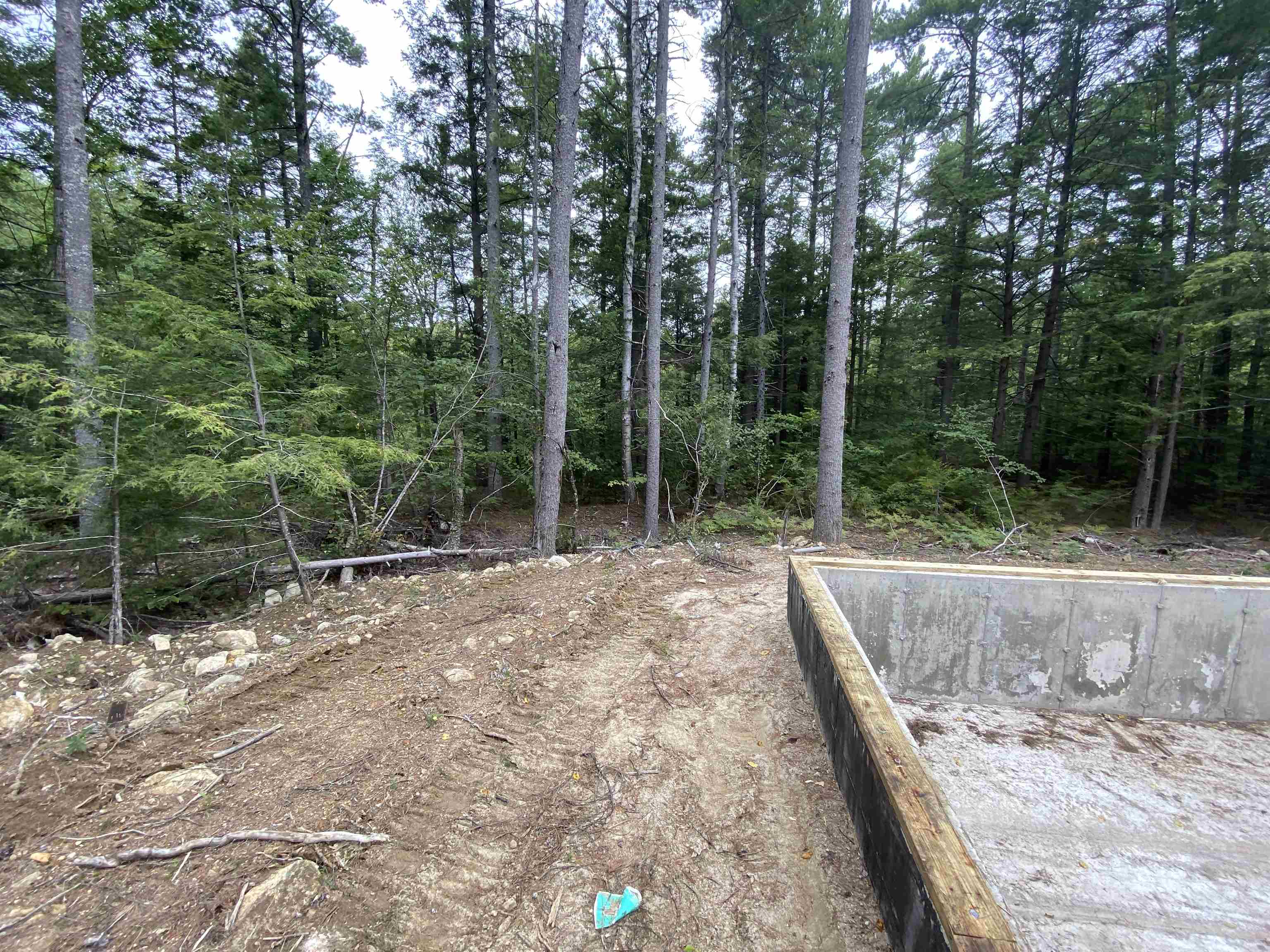 88 Salisbury Road, Unit 663 Mont Vernon, NH 03057 - Photo 5 of 25 Gallery Image 5