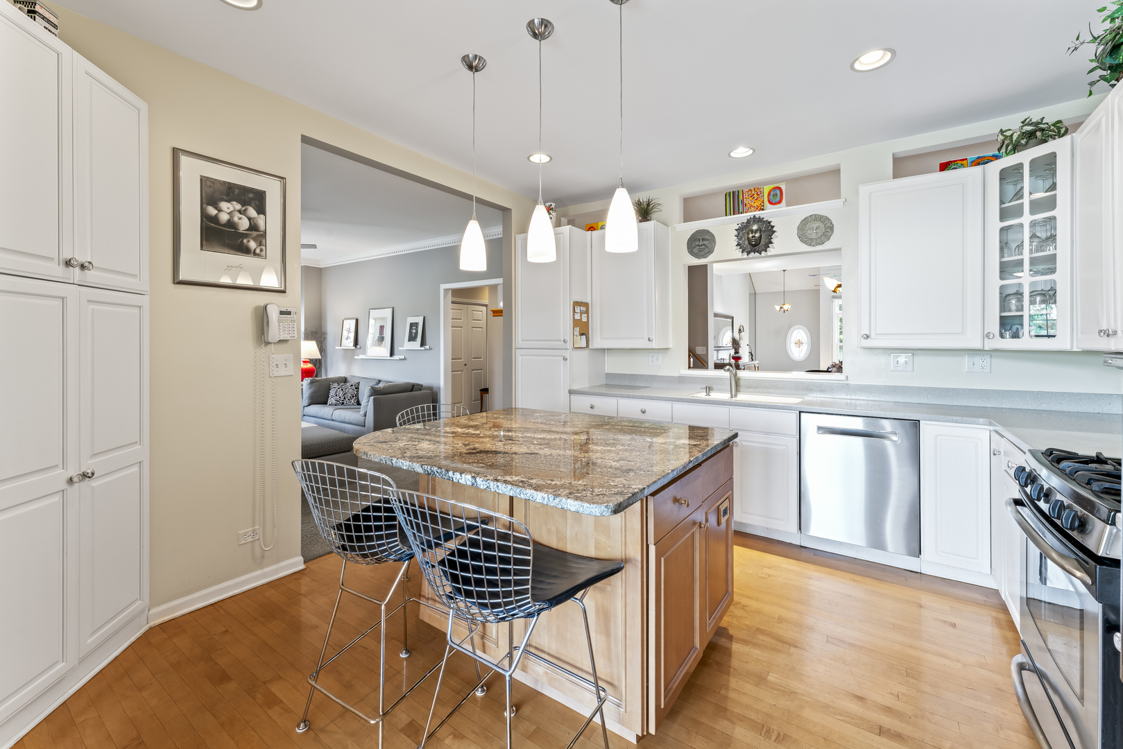 566 West Bridge View Court Palatine, IL 60067 - Photo 11 of 41 a kitchen with stainless steel appliances granite countertop a stove a sink dishwasher and a refrigerator with wooden floor