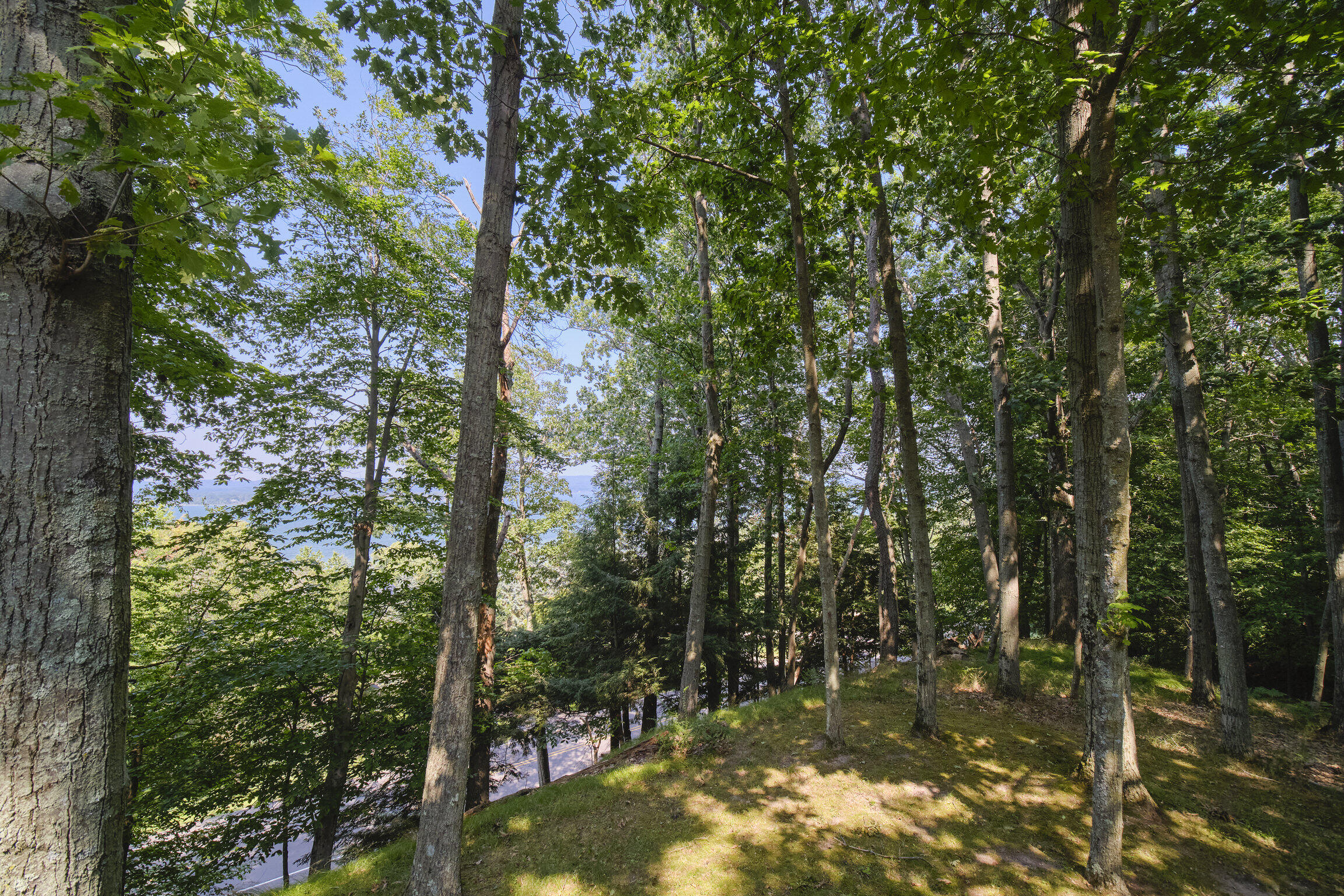 2521 Crescent Beach Road Manistee, MI 49660 - Photo 34 of 69 2521_Crescent_Beach-34