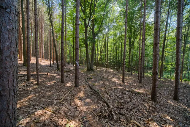 $849,000 | 2521 Crescent Beach Road, Manistee, MI 49660