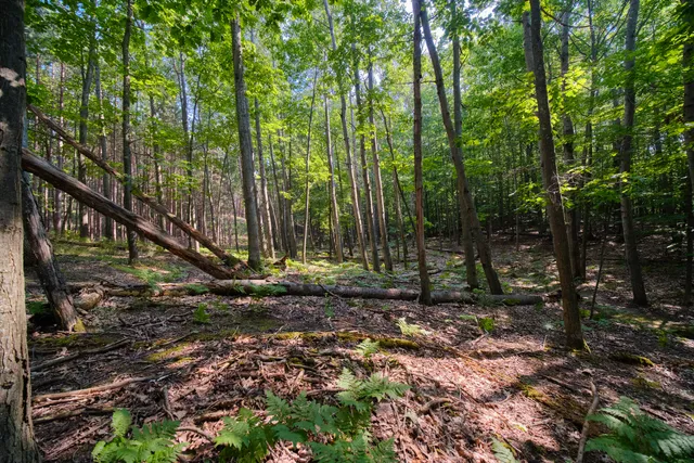 $849,000 | 2521 Crescent Beach Road, Manistee, MI 49660