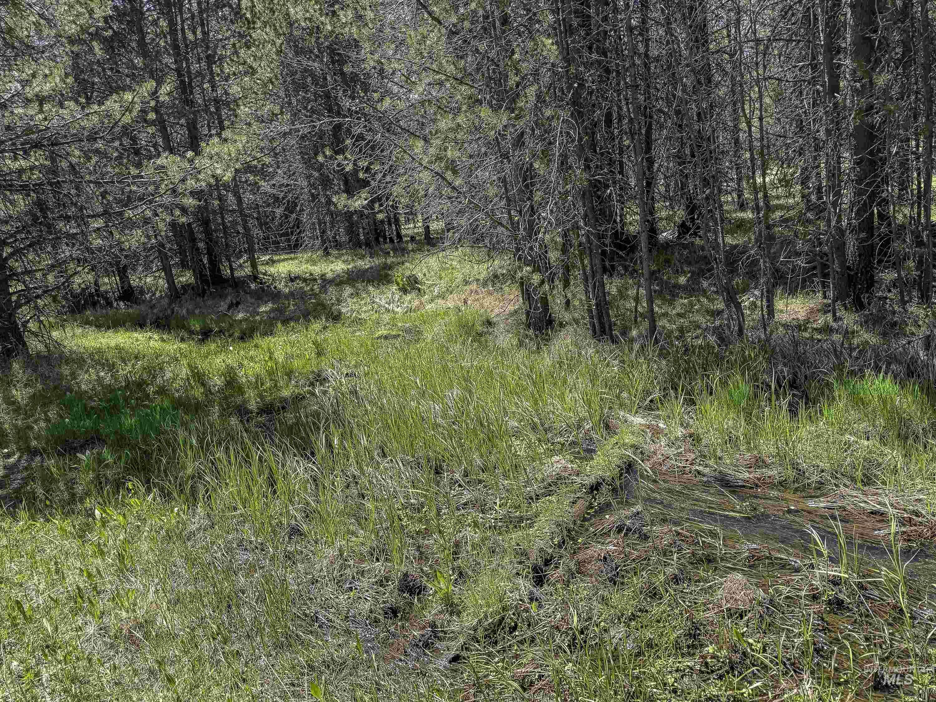 Tbd Deer Creek Road Winchester, ID 83555 - Photo 26 of 39
