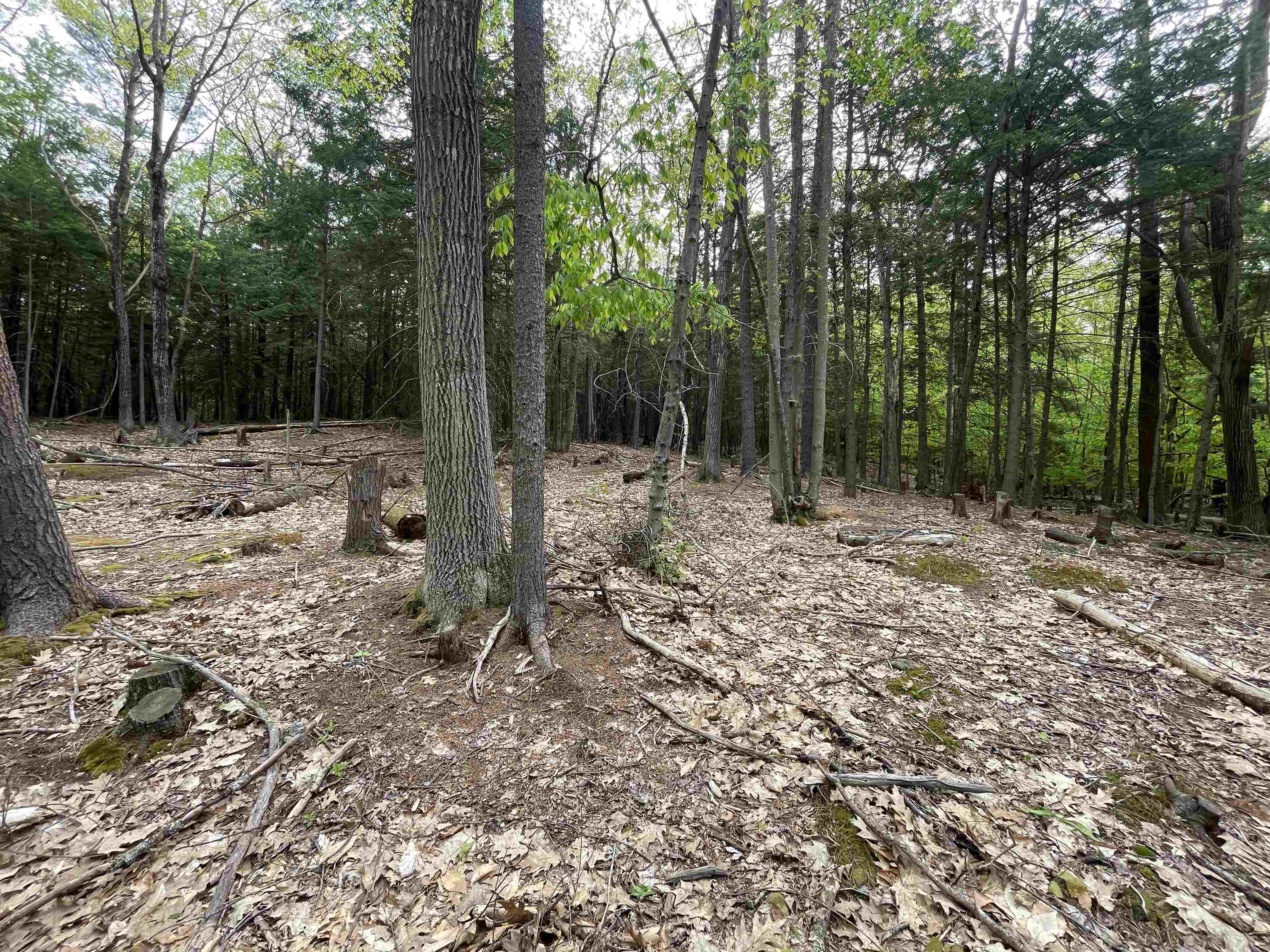 49 Durrell Mountain Road Belmont, NH 03220 - Photo 4 of 14